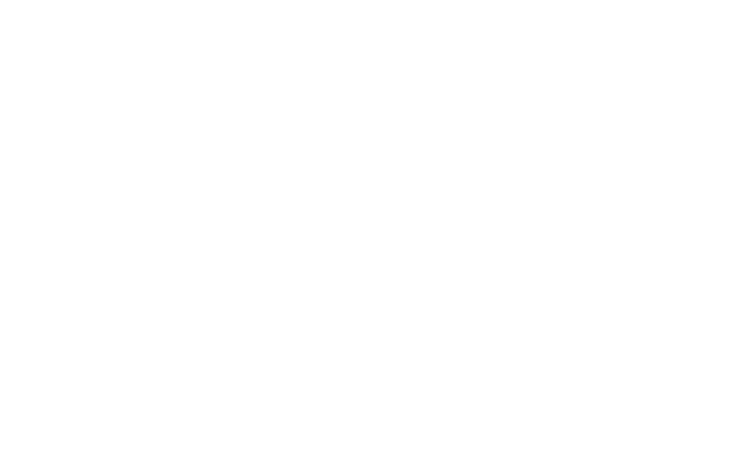 Win in USA Logo
